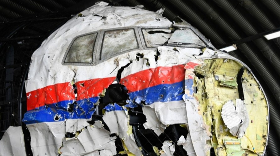 Пошкоджений фюзеляж літака рейсу MH17, місце катастрофи біля Грабового, 2014 рік